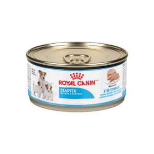 ROYAL CANIN LATA STARTER MOUSSE 165 GR