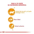 POUCH ROYAL CANIN CAT HAIR & SKIN