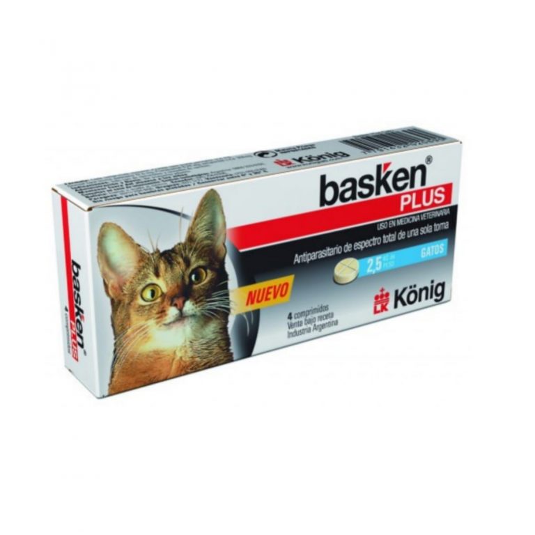 basken-plus-gatos