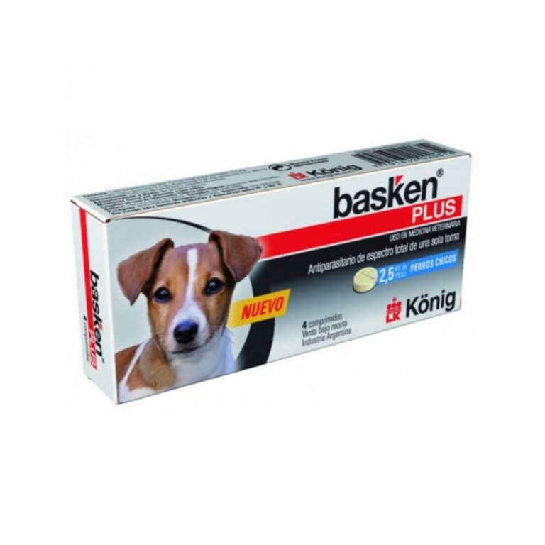 basken-plus-perro