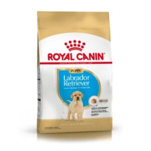 ROYAL CANIN LABRADOR RETRIEVER 33 JUNIOR