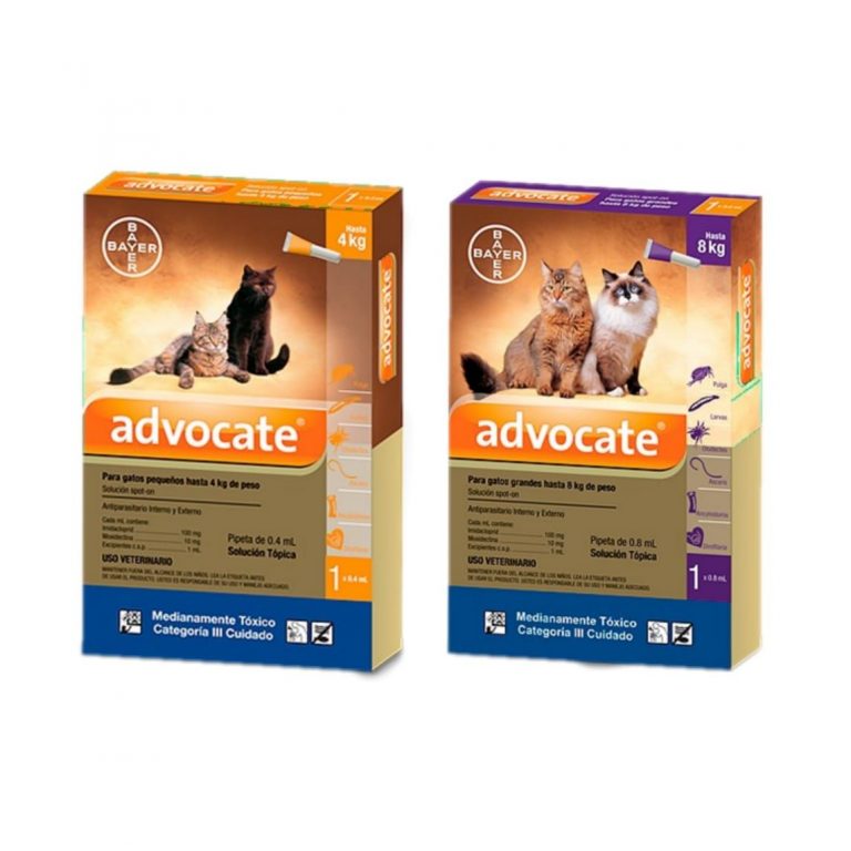 pipeta-advocate-gato