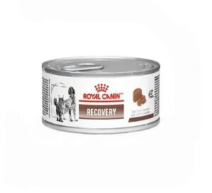 ROYAL CANIN LATA RECOVERY CAT/DOG 195 GR