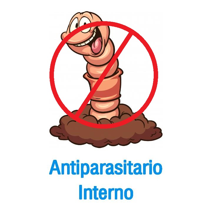 antiparasitarios-internos
