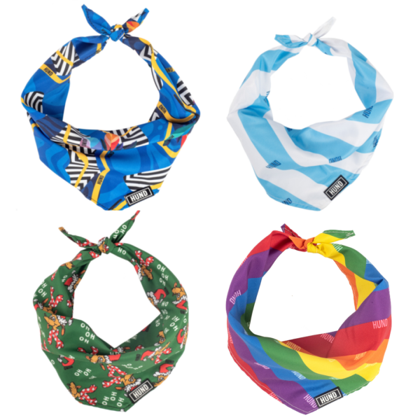 BANDANA HUND