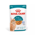 POUCH ROYAL CANIN AGEING FELINE 85 GR