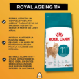 ROYAL CANIN CAT AGEING +11