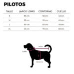 PILOTO TOMY Y DALY