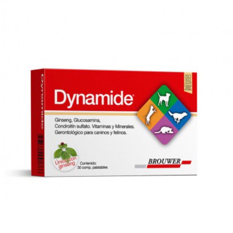 DYNAMIDE