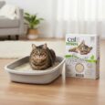 ARENA SANITARIA CAT IT GO NATURAL
