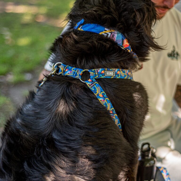 estatmPRETAL HUND AMAZONAS