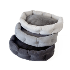 MOISES SENIOR JACK KYOTO TENDER