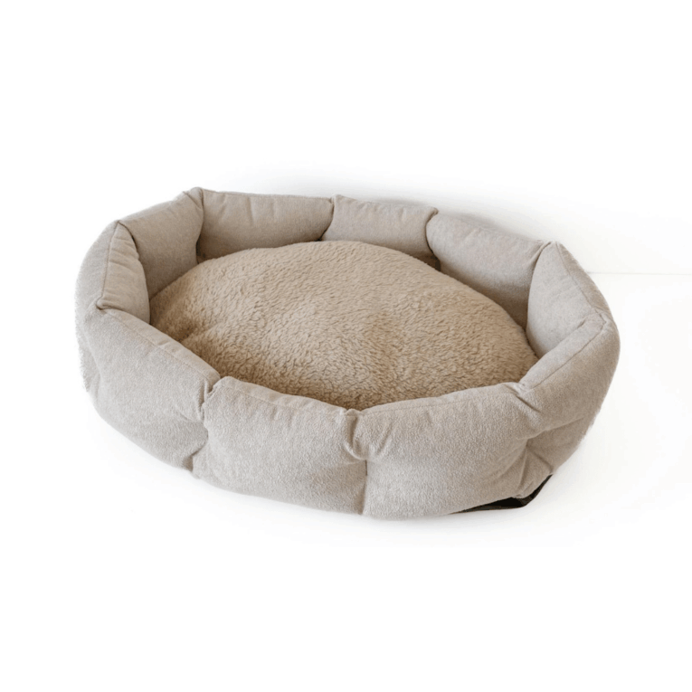 MOISES SENIOR JACK KYOTO TENDER2