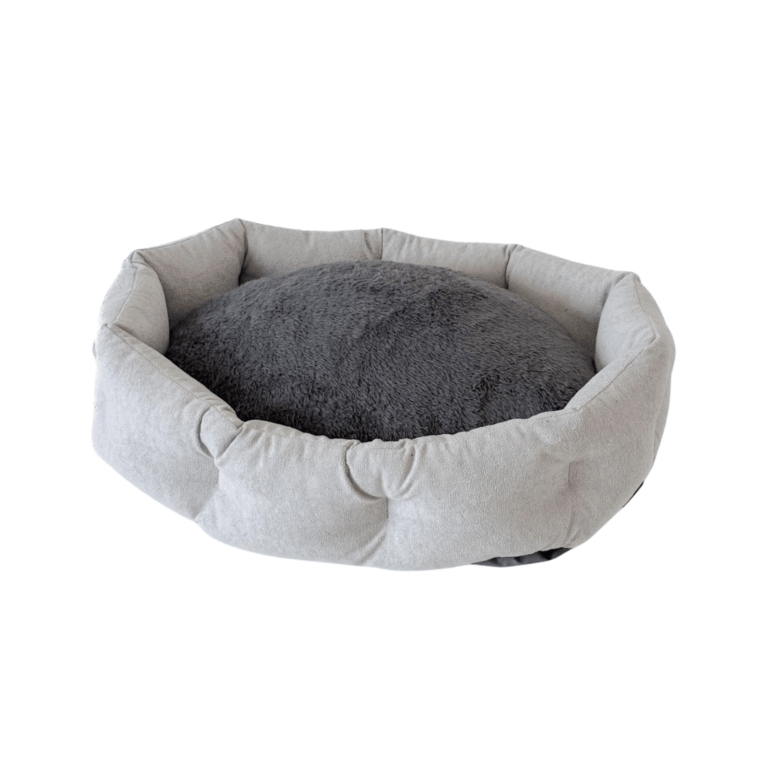 MOISES SENIOR JACK KYOTO TENDER3