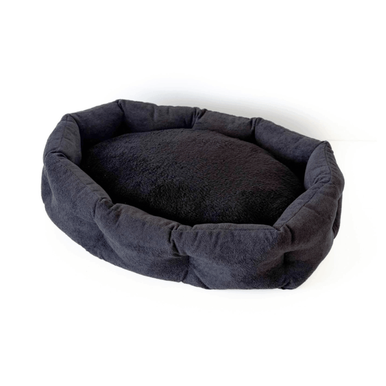 MOISES SENIOR JACK KYOTO TENDER4