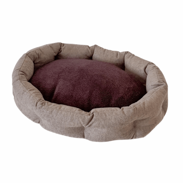 MOISES SENIOR JACK KYOTO TENDER5