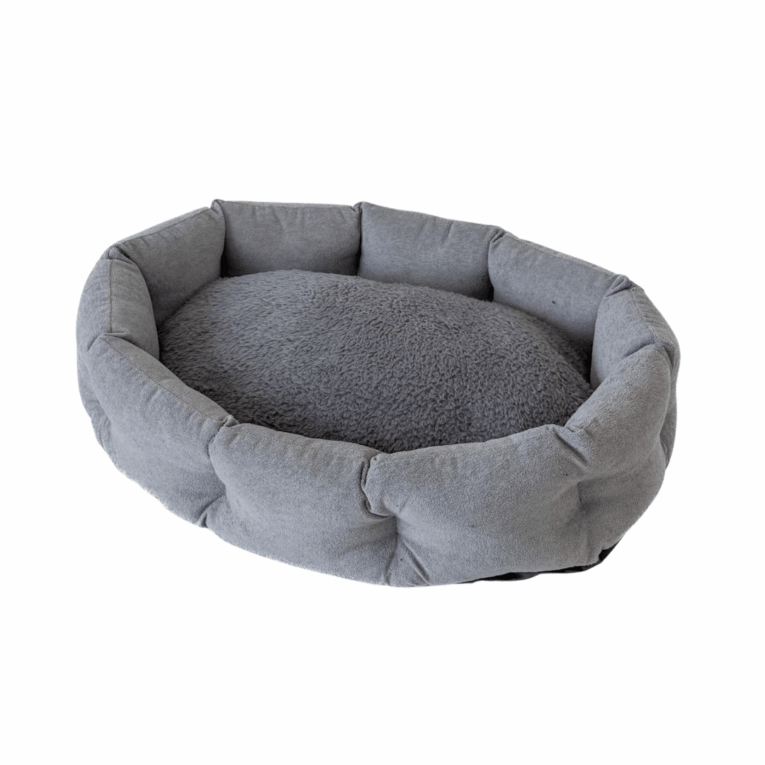 MOISES SENIOR JACK KYOTO TENDER6