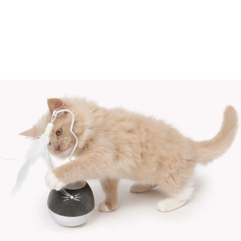 SPINNER DISPENSADOR CATIT