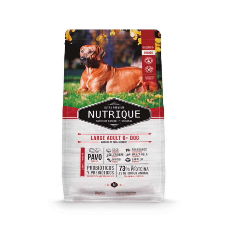 NUTRIQUE LARGE ADULT DOG 6+