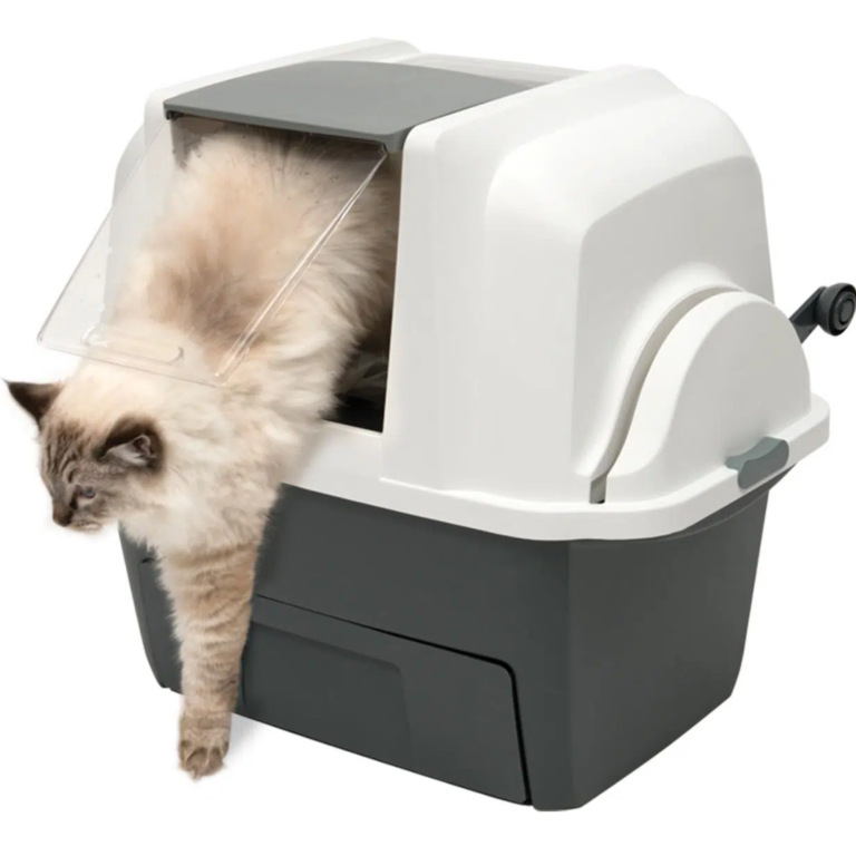 LITERA CAT IT DESIGN SIFTING AUTOLIMPIANTE