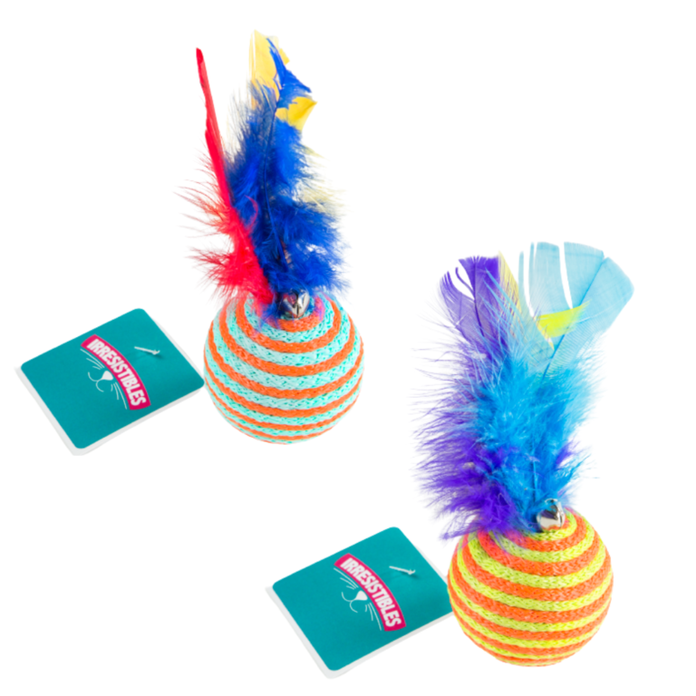 PELOTA DE COLORES GRANDE CON PLUMAS