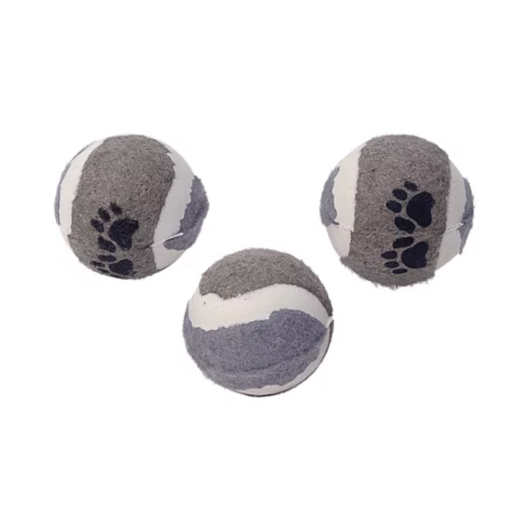 SET 3 PELOTAS TENIS RASCALS