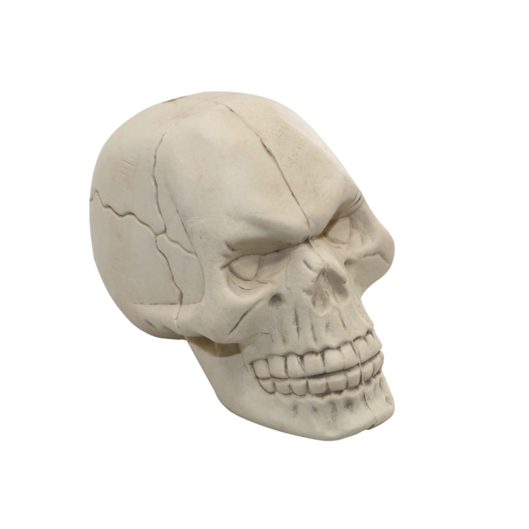 CALAVERA BP CAUCHO BLANCO