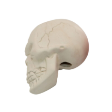 CALAVERA BP CAUCHO BLANCO