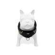 ARNES HUND PALTA PERSONALIZABLE