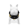 ARNES HUND MIRAMAR PERSONALIZABLE