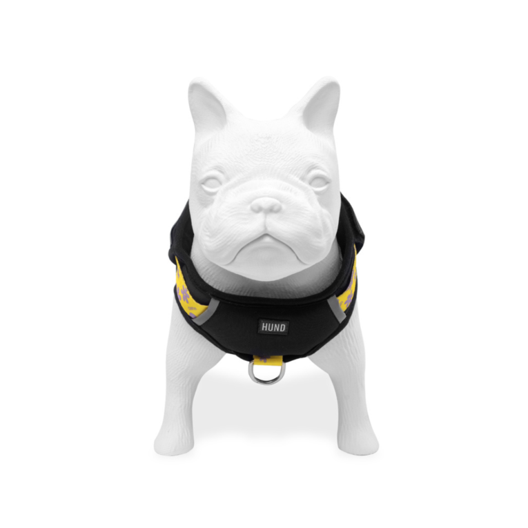 ARNES HUND MIRAMAR PERSONALIZABLE
