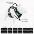 ARNES HUND MIRAMAR PERSONALIZABLE