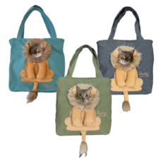 BOLSO TRANSPORTADOR LEON