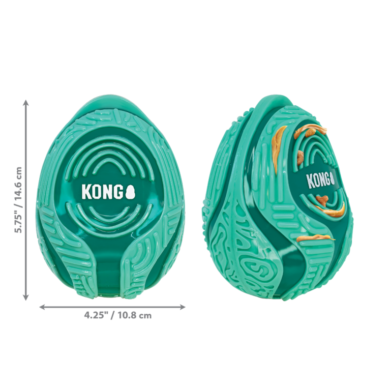 KONG LICKS REWARDS