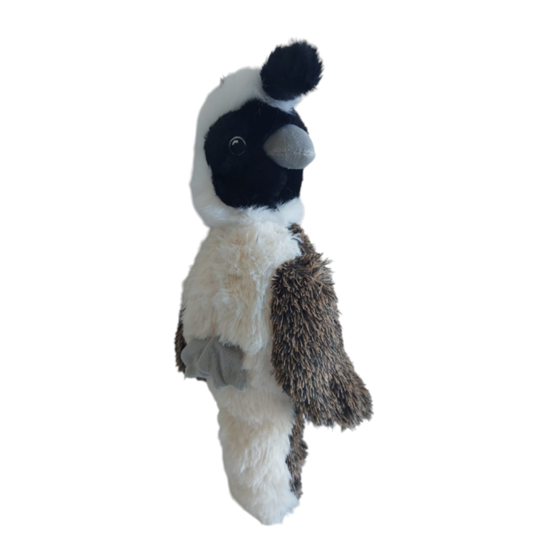 AVE DE PELUCHE BPAVE DE PELUCHE BP