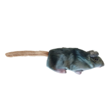 raton juguete