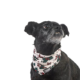 BANDANAS HUND NAVIDEÑAS