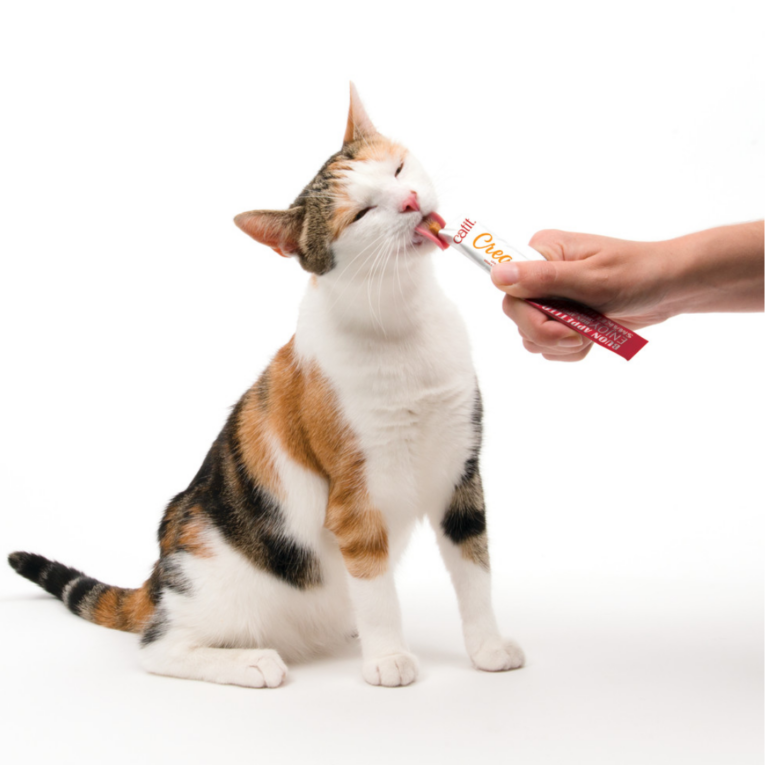 CAT IT CREAMY MULTIPACK