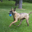 KONG SQUEAK AIR ULTRA BALLS MEDIUM X 3 UNIDADES