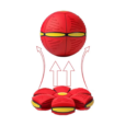 PELOTA SALTARINA CON LUZ PER-ROS
