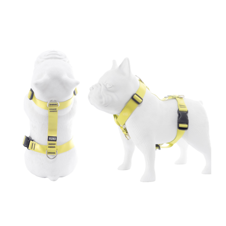 ARNES HUND CROMA LINA EN «H»