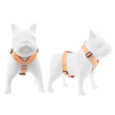 ARNES HUND CROMA NARANJA EN «H»