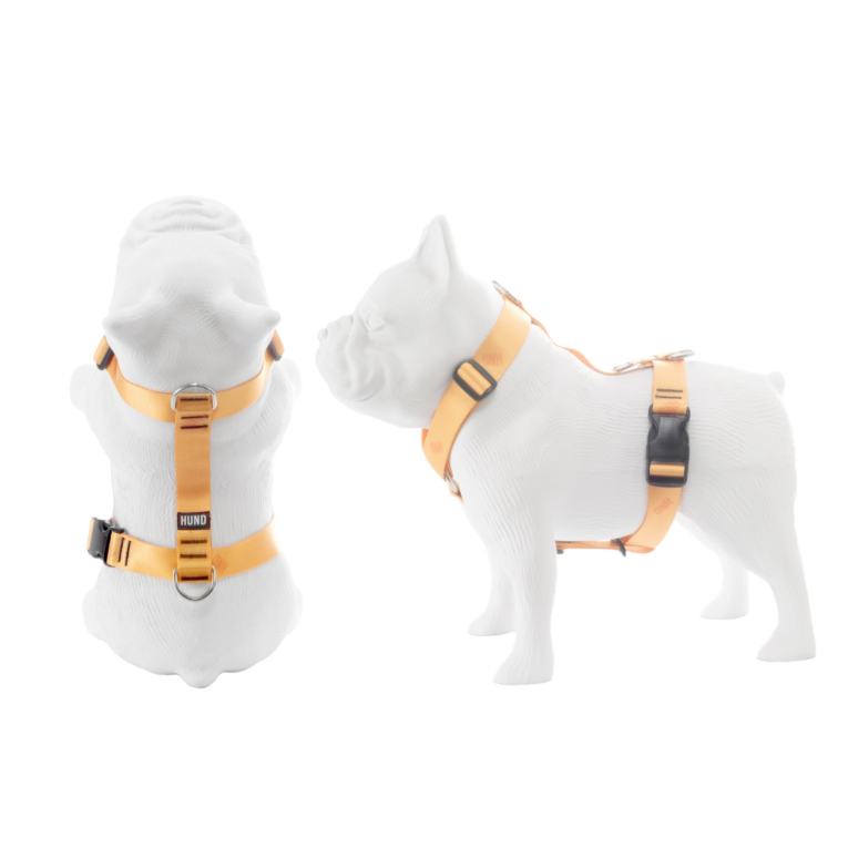ARNES HUND CROMA NARANJA EN «H»