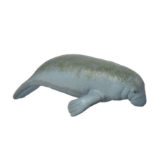 MANATI VINILO STRONG CANCAT