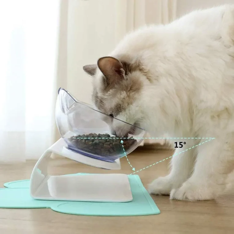 BOWL SIMPLE CON BASE PARA GATO PER-ROS 1