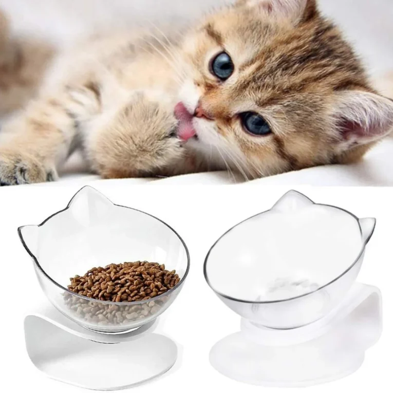 BOWL SIMPLE CON BASE PARA GATO PER-ROS