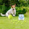 LANZA PELOTA INTERACTIVO