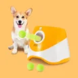 LANZA PELOTA INTERACTIVO
