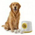 LANZA PELOTA INTERACTIVO