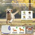 LANZA PELOTA INTERACTIVO